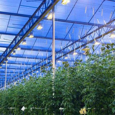 China Integrated PV Panel Mounting Systems Greenhouses Thin Film Module Support Structure for sale