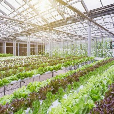 China 10-60 ° Horizontal Vertical Greenhouse Solar Systems 36.9m/S wind Load for sale
