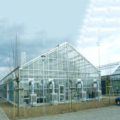 China Galvanized Steel Frame Structure Greenhouse Solar System for Farm for sale