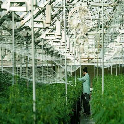 China Galvanized Stainless Steel Greenhouse Solar Mounting Structure for sale