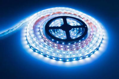 Китай Опыт освещения с световой лентой SMD5630 в светодиодных лампах из алюминия продается