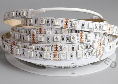 China Blanco frío 12v LED resistente al agua Líneas de luz RGB SMD5050 3 años de garantía en venta