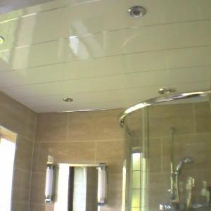 China Mouldproof UPVC Wall Panels Ceiling Covering Roof For Shower for sale