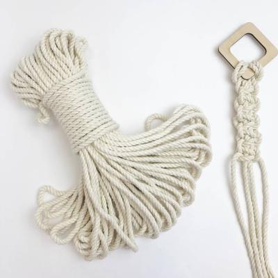 China Sostenible 4-36mm Natural Jute Twisted Cord Macrame Cordón de algodón orgánico para artesanía en venta