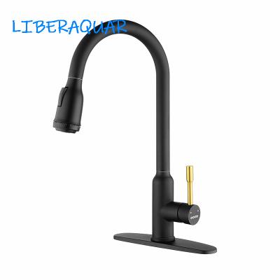 China Pull Out Kitchen Tap Faucet Graphic Design Luxury Black Kitchen Faucet for sale