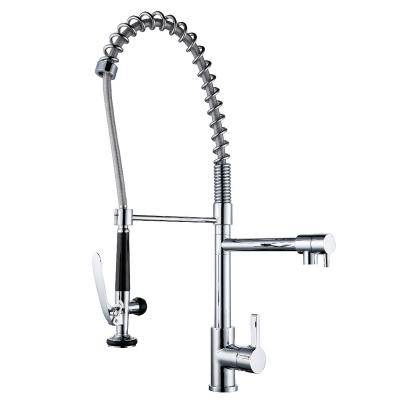 China Modern Solid Copper Luxury Sprayer Kitchen Faucet  Pull Down Kitchen Sink Faucet for sale