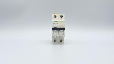 China 16-63A IC60N Miniature Circuit Breakers IC65N 1P for sale