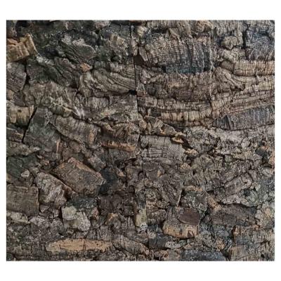 Chine 25mm à 30mm Cork Panels Bark Background naturel 60*90cm pour des façades de mur à vendre