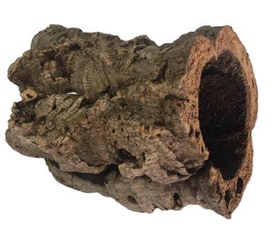 China FDA Cork Raw Material Aquarium Bulk Cork Bark Rounds Driftwood à venda