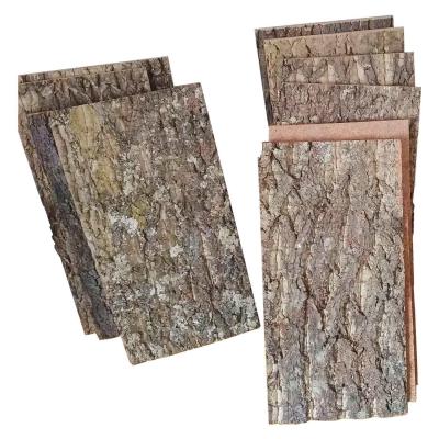 China Toxicless Natural Cork Panels Soundproofing Wall Tiles Eco Lightweight for sale