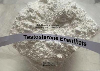 China Bodybuilding​ Testosterone Powder Source Testosterone Enanthate White Powder CAS 315-37-7 for sale