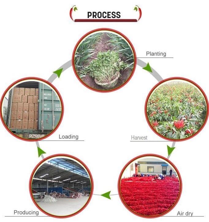 確認済みの中国サプライヤー - Neihuang Xinglong Agricultural Products Co. Ltd