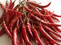  Επικυρωμένο Halal τσίλι εργοστασίων τσίλι Xian προϊόντων μακρύ