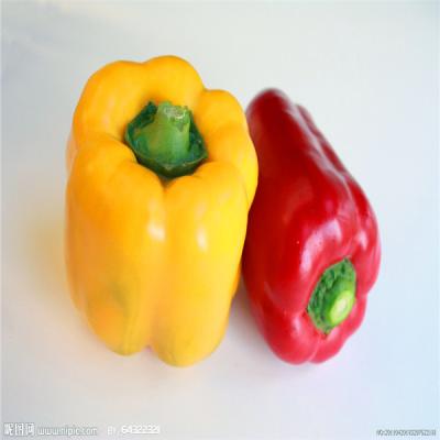 China 220 ASTA Sweet Paprika Pepper Non Irradiated Seedless NO Pigment for sale