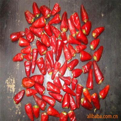 China Stemless Dried Red Bullet Chilli Round 12% Moisture 4 - 7cm for sale