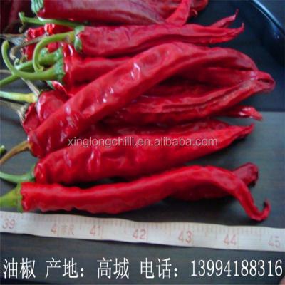 China Spicy Flavor 3.2mg Erjingtiao Dried Chilis 15cm Nutrition Facts Sodium for sale