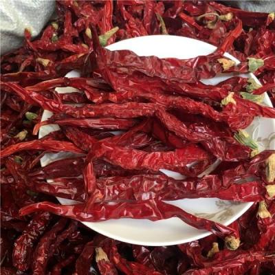 China Pimentões vermelhos secos sem caule/cortados de caule 99% de pureza com forte sabor picante à venda