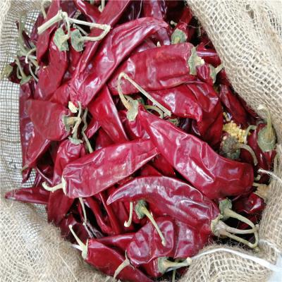 China Stemless Dried Guajillo Chile Peppers 15cm 0.3% Max Impurity For Sauces for sale