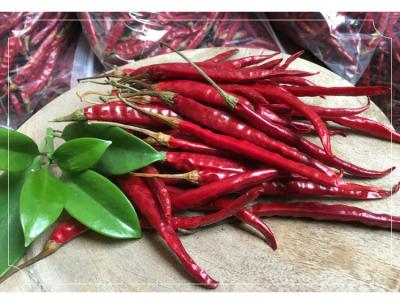 China Chilli de ojo de pájaro seco rico en calcio para creaciones culinarias audaces y picantes en venta