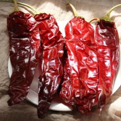 中国 7-19cm Mild Dried Chilies For Single Herbs Spices Vacuum Sealed Packaging 販売のため