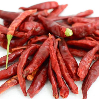 China Pimentão vermelho doce seco pimenta Chilli com caule 8000-12000shu à venda