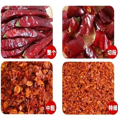 China Especias tentadoras Pimientos rojos secos de 16 cm sin tallo para platos secos y sabrosos en venta