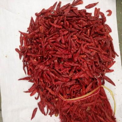 China Handpicked Dried Red Chilies 100g In Convenient Bag Packaging for sale