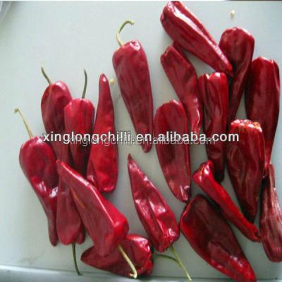 Chine Anneaux de piments rouges haut de gamme enrichis de graines de 0,5 à 1,5 cm à vendre