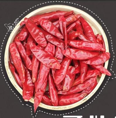 Chine Expérience chaleur rouge Chili coupé anneau chaud 1000SHU Humidité 8% à vendre