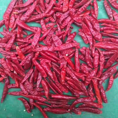 Chine Chaleur élevée Ringe de piments 0,5 à 1,5 cm Longueur 50000SHU Chaleur jusqu'à 35% de graines à vendre