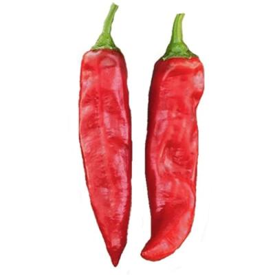 China Red Chili Pods Alto teor nutricional Carregado com Vitamina A e C 8000-12000shu à venda