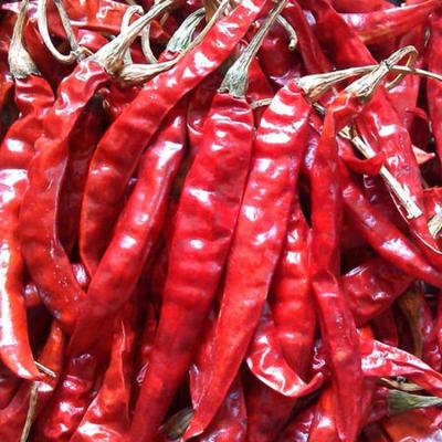 China Aditivo alimenticio Chiles rojos secos Pimientos de pimienta 16% Humedad Humeante y dulce en venta