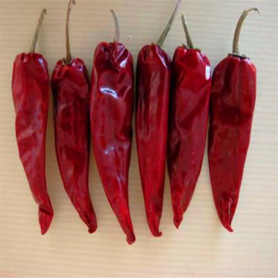 China Hot Dried Paprika Peppers With Stem Air Dried 8000-12000shu for sale