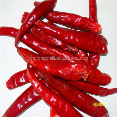 China Chilli rojo picante crujiente seco Xinglong sin tallo en venta