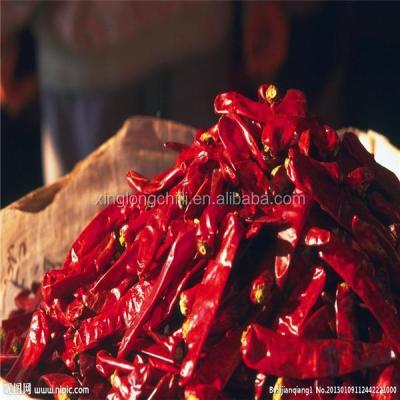 China Yidu Chili With Locally Sourced Dried Long Red Chillies 7-15cm for sale