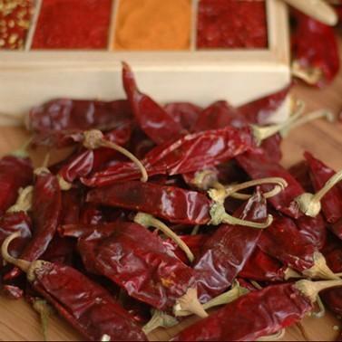 China Experience The Richness Of Mild Yidu Chili Dried Chilies 7-15cm Length Spicy 200g for sale