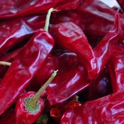 China 10kg/Bag Red Dried Chilli Peppers With Power And Stemless Or Stem Cut Peppers for sale