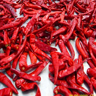 Chine Les piments du Sichuan face au ciel s'enflamment avec des épices chinoises à vendre