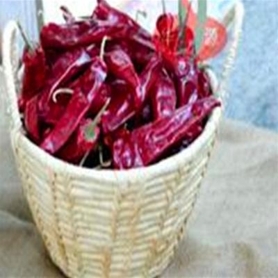 China Origin Spicy Flavor Chinese Dried Chili Peppers NO Allergen Information 14 Cm for sale