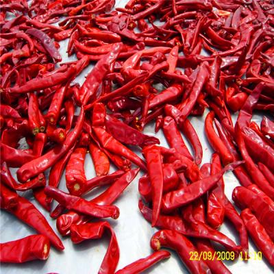 China Spicy Chinese Dried Red Chili Peppers With As Ingredients for sale