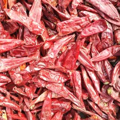 China Natural Red Chilli Sweet Paprika Pepper Single Herbs Spices For Culinary Delights à venda