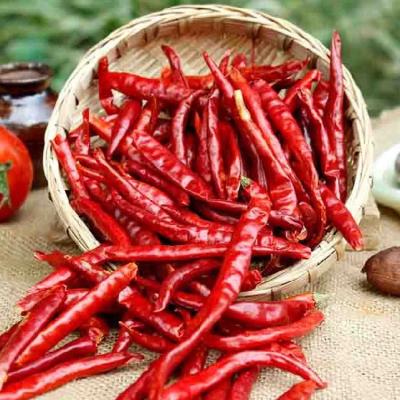 China Smooth Texture Natural Red Dried Sweet Chili Peppers For Cooking à venda