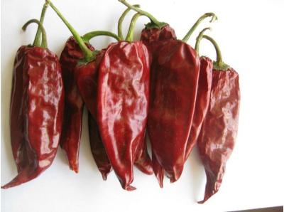 China Los chiles rojos secos Xinglong entero 10KG del 12CM secaron al asiático Chili Peppers en venta