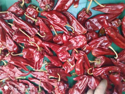 中国 乾燥された赤いチリのポッドを等級別にするために止められる5000SHU穏やかな乾燥された唐辛子 販売のため