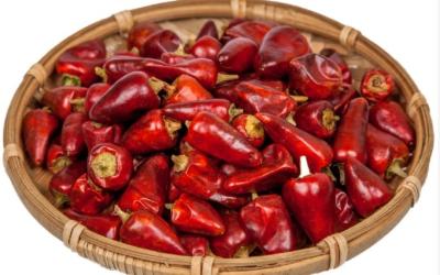 China Zero Additive Red Bullet Chilli Sterilized 4CM Dehydrating Chillies for sale