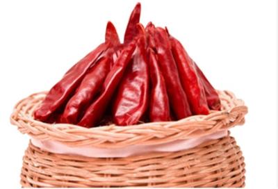 China Air Dried Tianjin Red Chilies Block Chinese Dried Chili Peppers 12% Moisture for sale