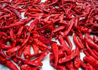 China Sanying Dehydrating Hot Peppers Mala Dried Whole Chillies KOSHER for sale