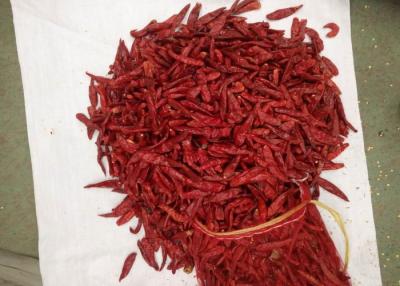China Medium Spicy Tianjin Red Chilies A Level 8000 Scoville Drying Out Peppers for sale