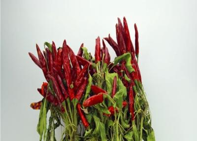 China 7CM Whole Dried Chillies No Additive Stemmed Spicy Dried Peppers for sale