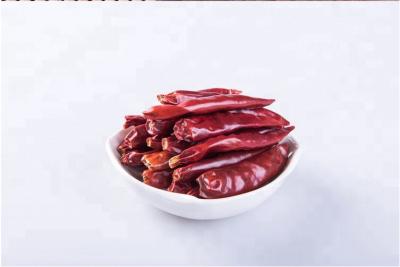 China Delicious Tianjin Red Chilies Barbecue Dried Chile De Arbol Peppers for sale